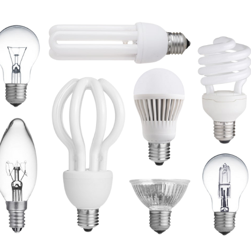 Light Bulb